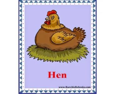 как переводится слово hen