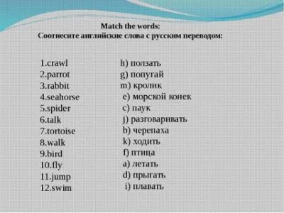 как будет русский язык на английском