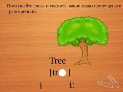 как читается слово tree
