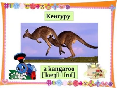 как пишется кенгуру по английски