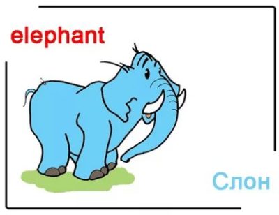 как пишется слон по английски