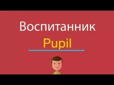 как переводится слово pupil