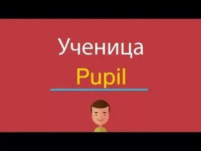 как переводится слово pupil