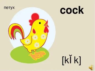 как переводится слово cock